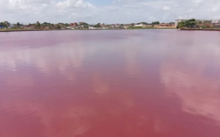 Sudema interdita e multa em R$ 21,5 mil fábrica de alimentos por poluição no Parque das Três Lagoas