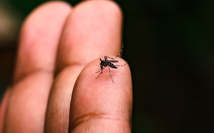 Paraíba registra mais de 5 mil casos e três mortes por dengue no primeiro semestre de 2025
