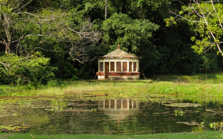Jardim Botânico e Vale dos Dinossauros terão horários especiais durante o Carnaval