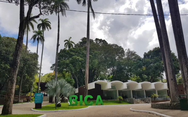 Após morte de jovem por ataque de leoa, zoológico de João Pessoa vai abrir na próxima quinta-feira (18)