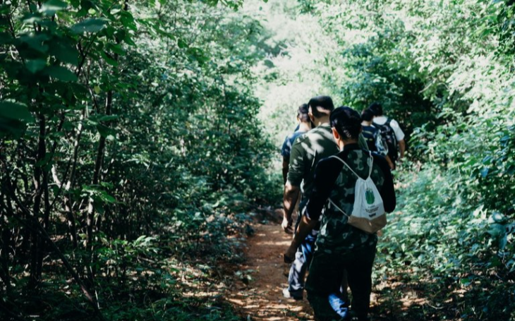 Paraíba reduz desmatamento em 44%, segundo relatório do MapBiomas