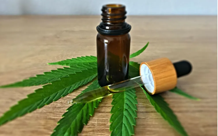 Nova regra da Anvisa para cannabis medicinal deve reduzir preços e ampliar segurança; entenda