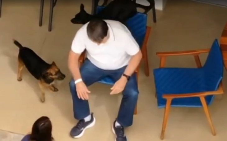 Moraes proíbe sobrevoo de drones nas proximidades da casa em que Jair Bolsonaro