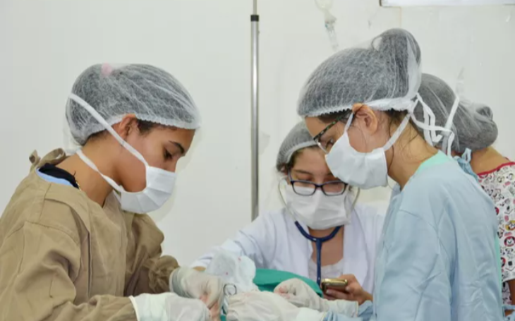 João Pessoa tem 500 vagas para castração gratuita de animais; veja como agendar