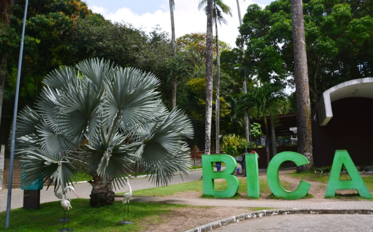 Veterinário explica medidas de segurança da Bica e detalha saúde da leoa